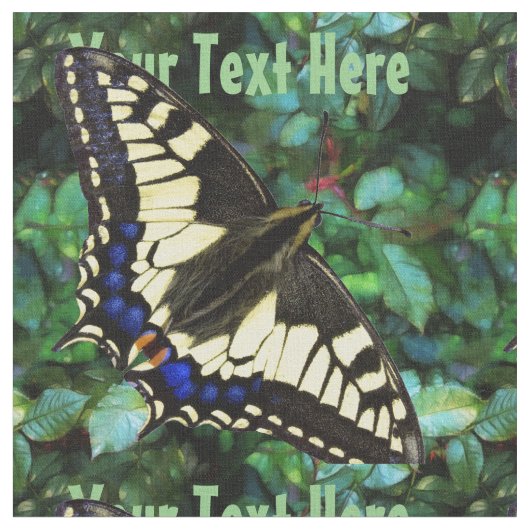 Papilio Swallowtail Stof (Close Up)