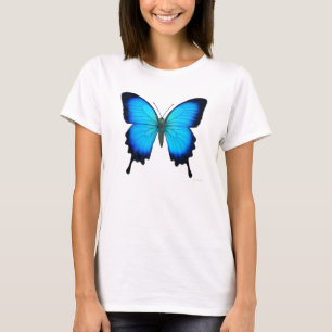 Papilio Ulysses Butterfly Dames Crop Shirt