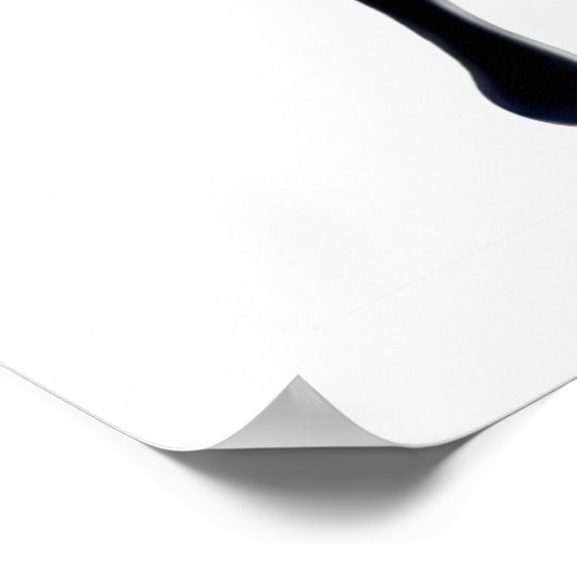 Papilio Ulysses Butterfly Poster (Hoek)