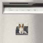 Papillion Acryl Foto Tegel Magneet (Insitu (Vaatwasser))