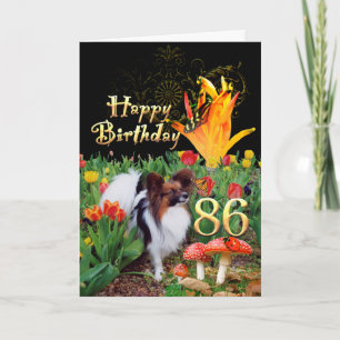 Papillion dog Happy 86 Birthday kaart Age-specifie