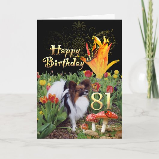 Papillion hond Happy 81 Verjaardagskaart Leeftijd  Kaart (Voorkant)