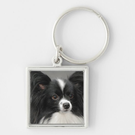 papillon-17.jpg sleutelhanger (Voorkant)