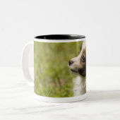 Papillon 2 tweekleurige koffiemok (Voorkant links)