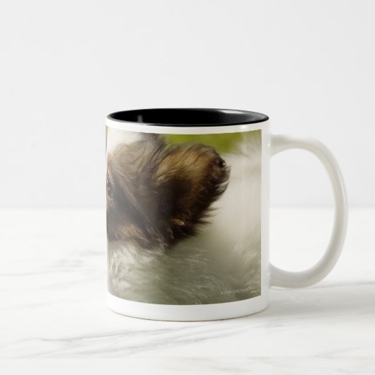 Papillon 2 tweekleurige koffiemok (Rechts)