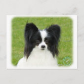 Papillon 9T056D-088 Briefkaart (Voorkant)