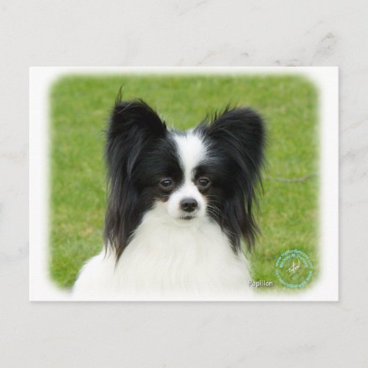 Papillon 9T056D-088 Briefkaart (Voorkant)
