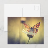 Papillon Argus Briefkaart (Voorkant / Achterkant)