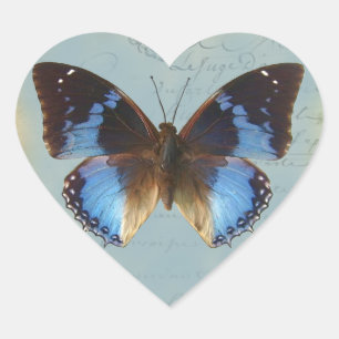 Papillon bleu hart sticker