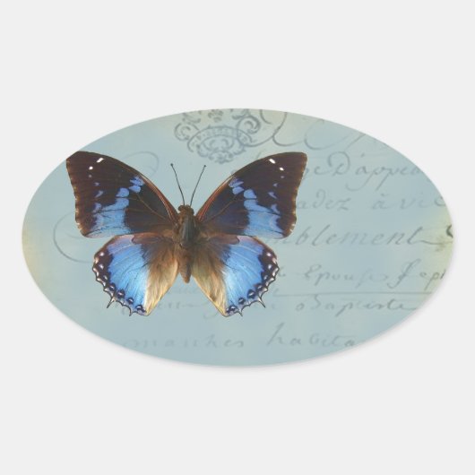 Papillon bleu ovale sticker (Voorkant)