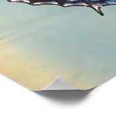 Papillon bleu poster (Hoek)
