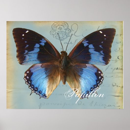 Papillon bleu poster (Voorkant)