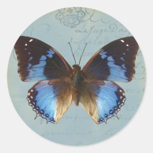 Papillon bleu ronde sticker