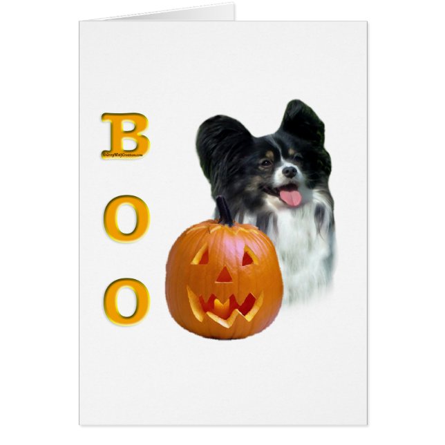 Papillon Boo (Voorkant)