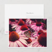 Papillon Briefkaart (Voorkant / Achterkant)