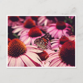 Papillon Briefkaart