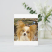 Papillon Briefkaart (Staand voorkant)