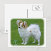 Papillon Briefkaart (Voorkant / Achterkant)