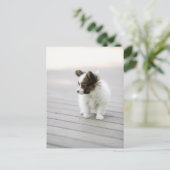 Papillon Briefkaart (Staand voorkant)