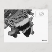 papillon briefkaart (Achterkant)