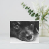 papillon briefkaart (Staand voorkant)