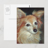 Papillon Briefkaart (Voorkant / Achterkant)