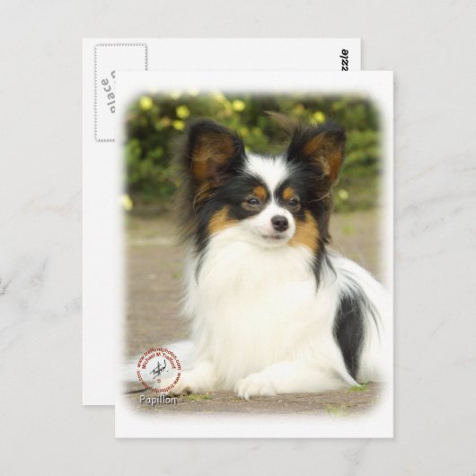 Papillon Briefkaart (Voorkant / Achterkant)