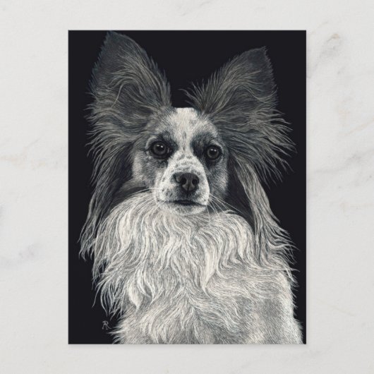 Papillon Briefkaart - "Sparkles" (Voorkant)