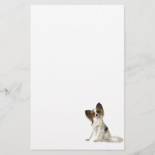 Papillon Briefpapier