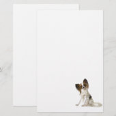 Papillon Briefpapier (Voorkant / Achterkant)