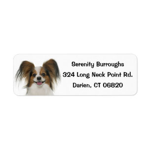 Papillon Brown and White Puppy Dog Etiket