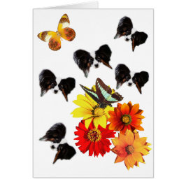 Papillon Butterfly Gifts