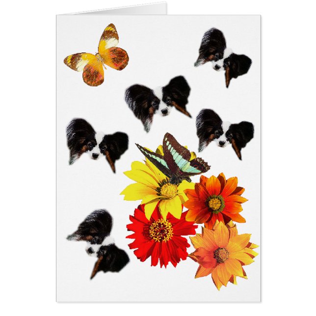Papillon Butterfly Gifts (Voorkant)