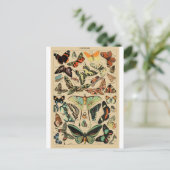 Papillon Butterfly Wings Vintage Postcard Briefkaart (Staand voorkant)