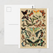 Papillon Butterfly Wings Vintage Postcard Briefkaart (Voorkant / Achterkant)