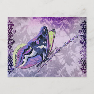 PAPILLON COLORÉ in LILA, PAARS en SPRINGGROEN Briefkaart