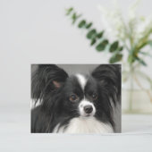 Papillon Dog Briefkaart (Staand voorkant)
