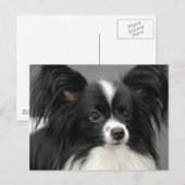 Papillon Dog Briefkaart (Voorkant / Achterkant)
