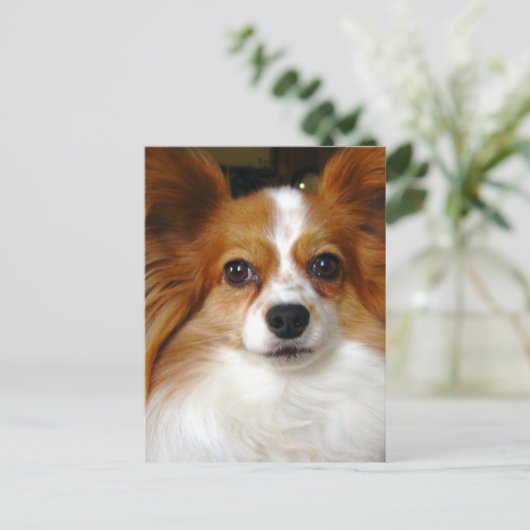 Papillon Dog Briefkaart (Staand voorkant)