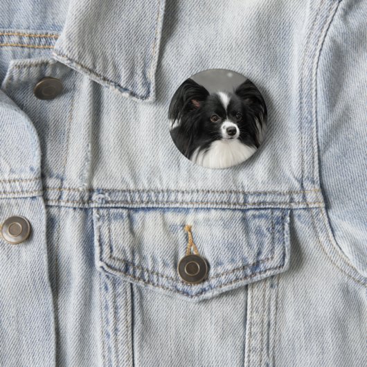 Papillon Dog Button (In situ)