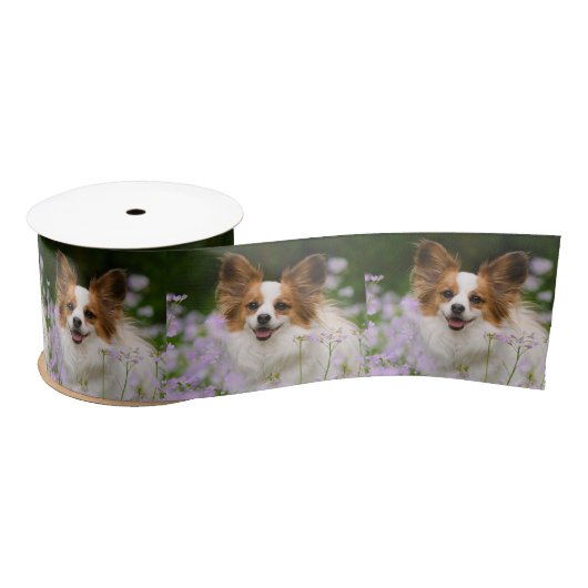 Papillon Dog Cute Romantic Portrait Animal Foto - Satijnen Lint (Spoel)