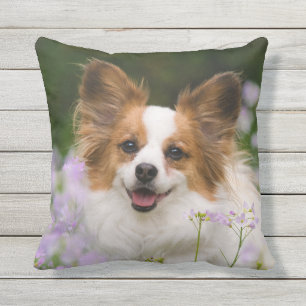 Papillon Dog Cute Romantic Portrait Foto - Buitenkussen