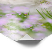 Papillon Dog Cute Romantic Portrait Foto - Foto Afdruk (Hoek)