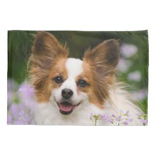 Papillon Dog Cute Romantic Portrait Foto - Kussensloop