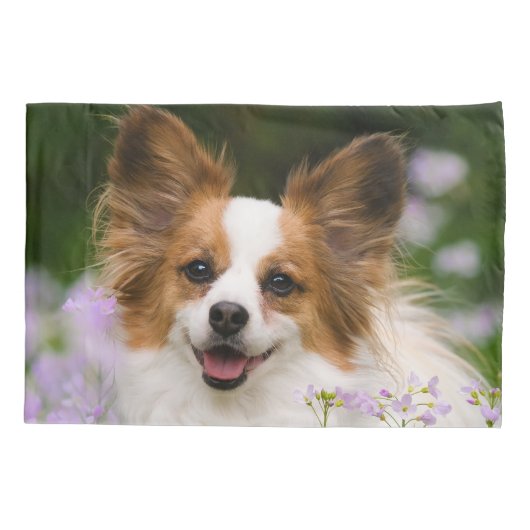 Papillon Dog Cute Romantic Portrait Foto - Kussensloop (Achterkant)