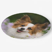 Papillon Dog Cute Romantic Portrait Foto - Papieren Bordje (Gekanteld)