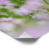 Papillon Dog Cute Romantic Portrait Foto - Perfect Poster (Hoek)