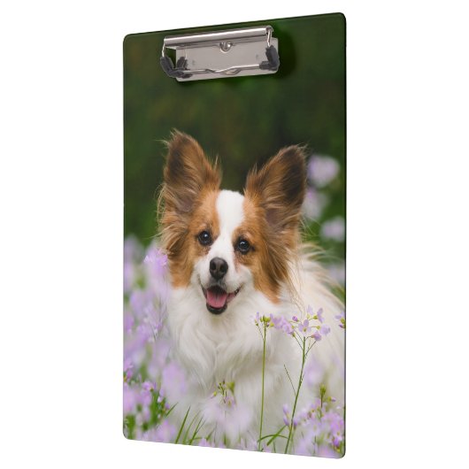Papillon Dog Cute Romantic Portret - Gepersonalise Klembord (Links)