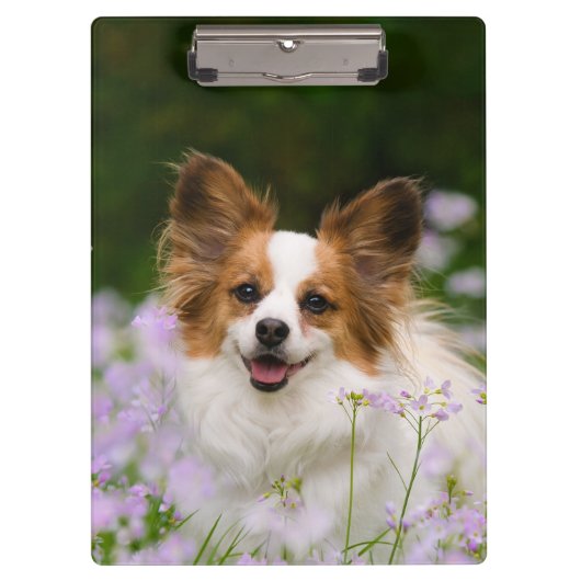 Papillon Dog Cute Romantic Portret - Gepersonalise Klembord (Voorkant)