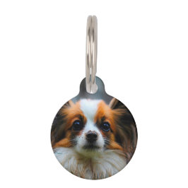 Papillon Dog. Huisdierpenning